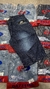 Bermuda Jeans Dazzling Azul-Escuro - comprar online