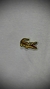 Polo Lacoste Edição Gold - loja online